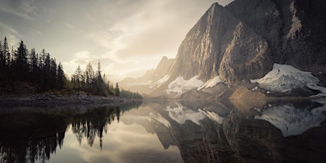 Viktoria Haack - People Places and Dogs  primärbild