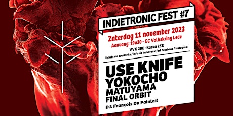INDIETRONIC fest #7