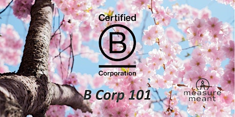 B Corp 101 - June 2023