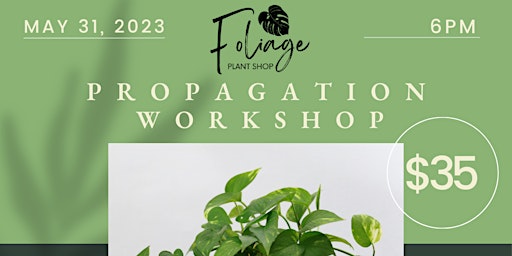 Propagation Workshop