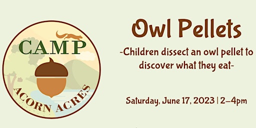 Camp Acorn Acres - Owl Pellets primary image