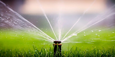 Lunch & Learn: Sprinkler System Savvy  primärbild