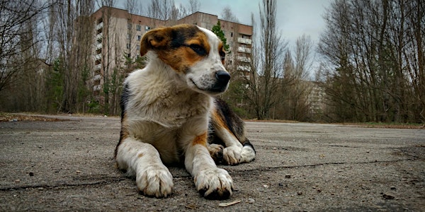 Genome Lates: The Radioactive Dogs of Chernobyl