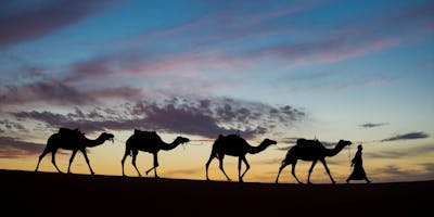 Travel Photography w/John Greengo