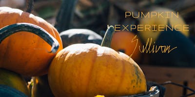 Pumpkin Experience - Sullivan Pumpkin Experience - Sullivan