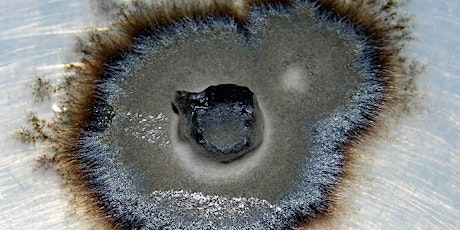 Mycorrhizal Gathering 1: Inoculation primary image