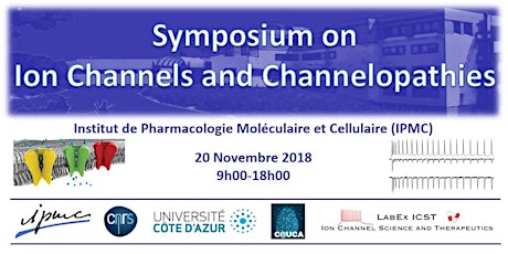 Image principale de Symposium on Ion channels and Channelopathies - IPMC