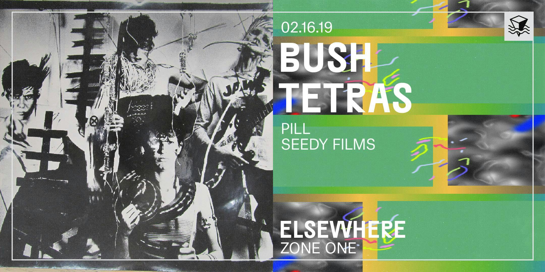 Bush Tetras
