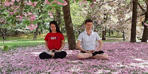 Image principale de Falun Dafa (Qigong en Meditatie) - Gratis Workshops in Domein Bokrijk