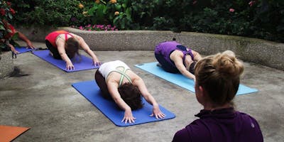 Butterfly Haven Yoga