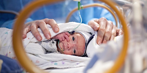 Funktionelle Echokardiographie bei Kindern und Neugeborenen  primärbild