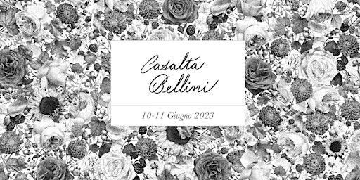 Hauptbild für Xavier Casalta x Bellini