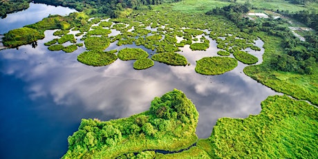 Primaire afbeelding van Public Lecture - From Equations to Ecosystems