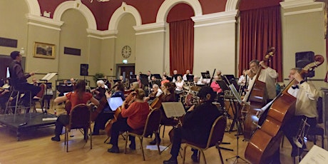 Immagine principale di Darlington Orchestra Summer Concert 