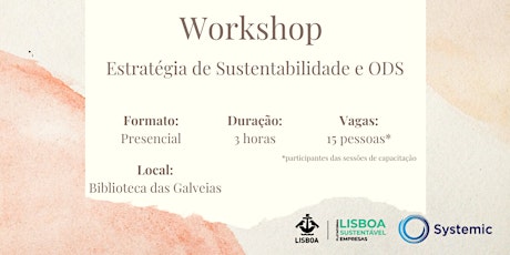 Workshop: Estratégia de Sustentabilidade e ODS (manhã)