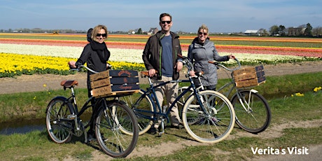 Primaire afbeelding van Tulip Tour Leiden - Keukenhof on electric bike