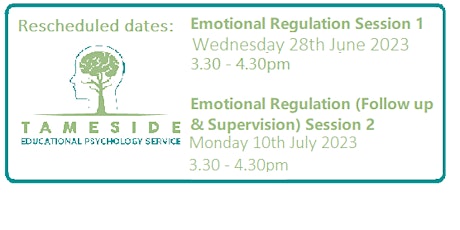 Emotional Regulation (Two-part workshop series)