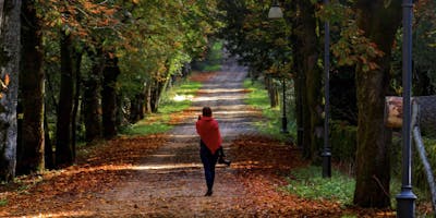 Instameet d'autunno a Badde Salighes in Sardegna Instameet d'autunno a Badde Salighes in Sardegna