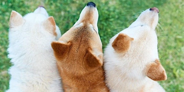 Family Workshop: Discover the Six Native Dogs of Japan