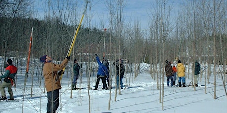 Formation : Taille de formation et élagage des arbres (Cowansville)
