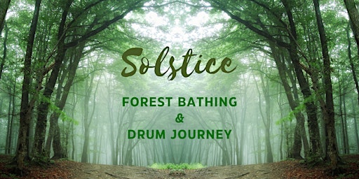 Solstice Forest Bathing & Drum Journey