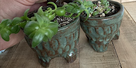 Class 55. Succulent Pots: Ceramic Hand Building | Anna DiMartino