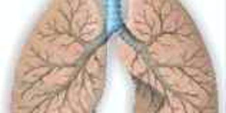 Imagem principal do evento O que é Hipertensão Pulmonar: sintomas e diagnóstico (Período TARDE)