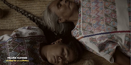 Latin American Film Festival: Mexican short-films