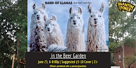 Band of Llamas in the Beer Garden