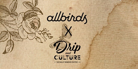 Allbirds x Drip&Culture
