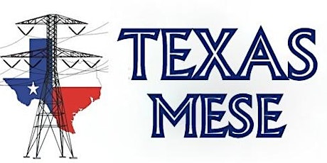 Texas MESE Steering Committee Meeting primary image