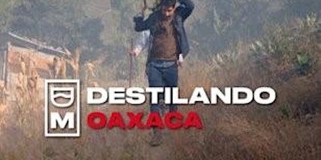Destilando Oaxaca: Mezcal  |DE CINE, MOLE Y POZOLE