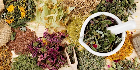 Herbal Medicine - from the Hedgerow to the Medicine Chest. (4 week course).