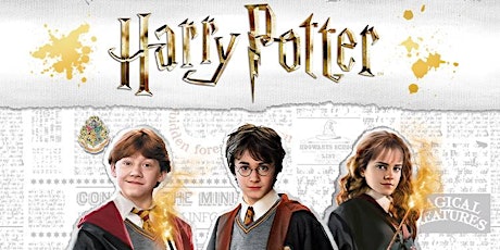 Harry Potter Workshop (+10 Años)
