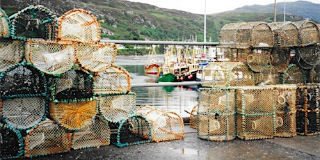 Imagem principal de Exploring resilience in the UK seafood system