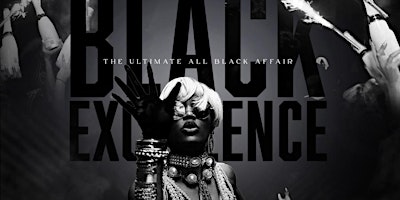 Primaire afbeelding van BLACK EXCELLENCE (All Black Affair)