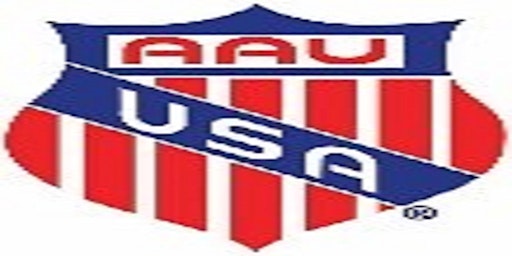 2023 AAU Region 4 Championships primary image