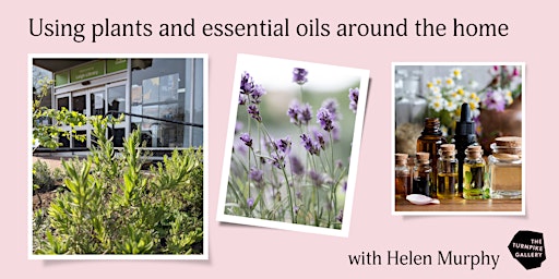 Using plants and essential oils around the home with Helen Murphy primary image