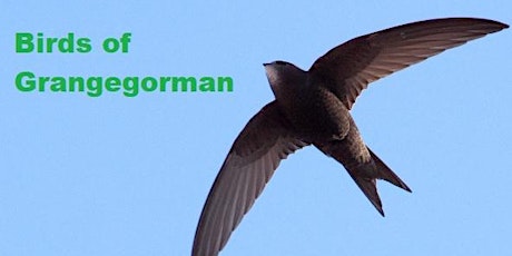 Birds of Grangegorman and Swift Walk primary image