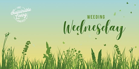 Weeding Wednesdays 