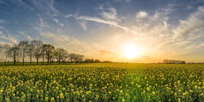 Ritiro di Meditazione e Movimento Consapevole - Mindfulness Ritiro di Meditazione e Movimento Consapevole - Mindfulness