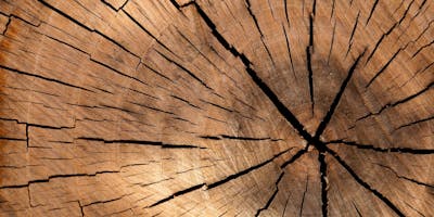 “Legno, costruire, abitare” “Legno, costruire, abitare”