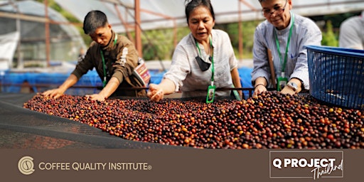Thailand Specialty Coffee with CQI primary image