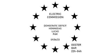 Electric Commission: Democratic Deficit x Honingdas