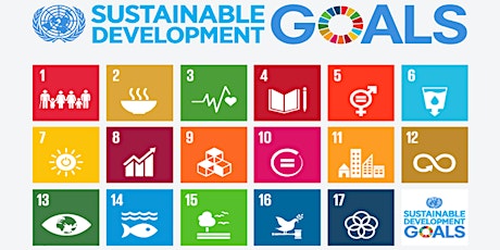Webinar: How universities can contribute to the UN’s Sustainable Development Goals (SDGs)