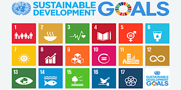 Webinar: How universities can contribute to the UN’s Sustainable Developmen...
