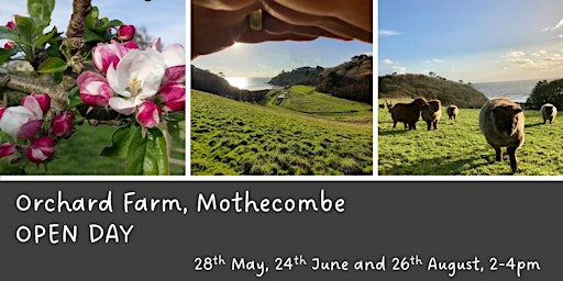 Orchard Farm Mothecombe OPEN DAYS 2023