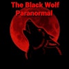 The Black Wolf Paranormal Team's Logo