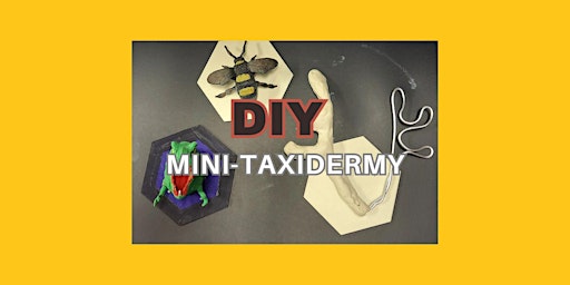 Virtual Camp: DIY Mini-Taxidermy primary image