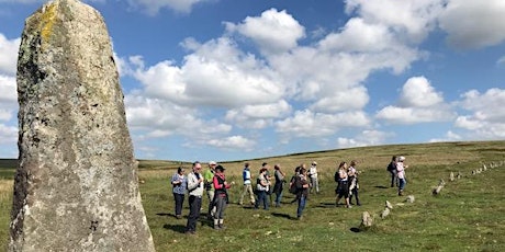 Archaeology Walk to Drizzlecombe & Yellowmead primary image